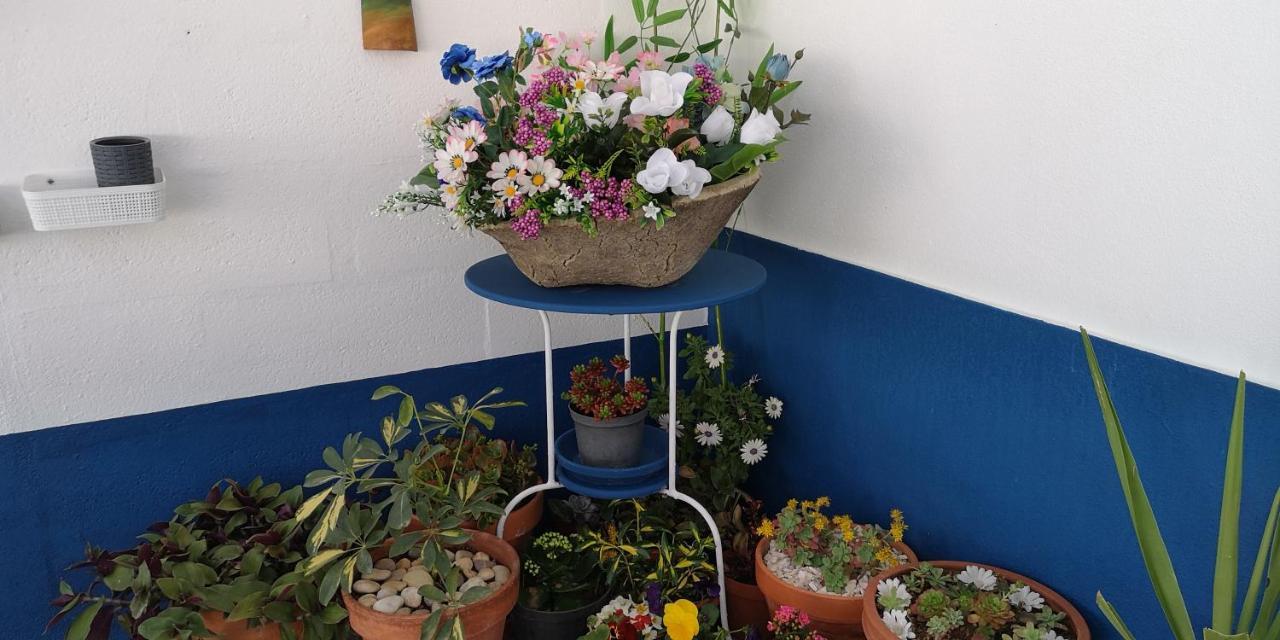Vila Casa Na Aldeia Estremoz Exteriér fotografie
